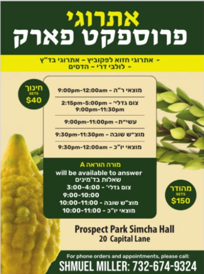 Etrogei Prospect Park Sale