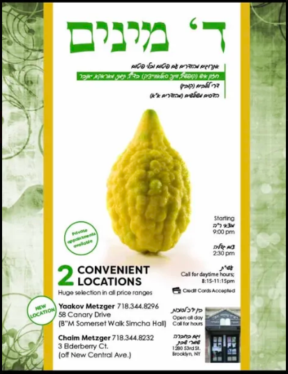 Daled Minim
